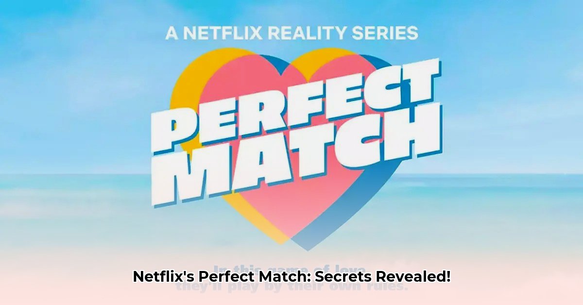 the-perfect-match-netflix
